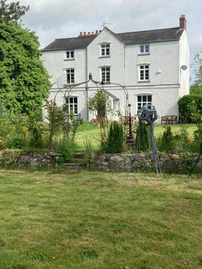 Art House B & B Raglan Eksteriør billede