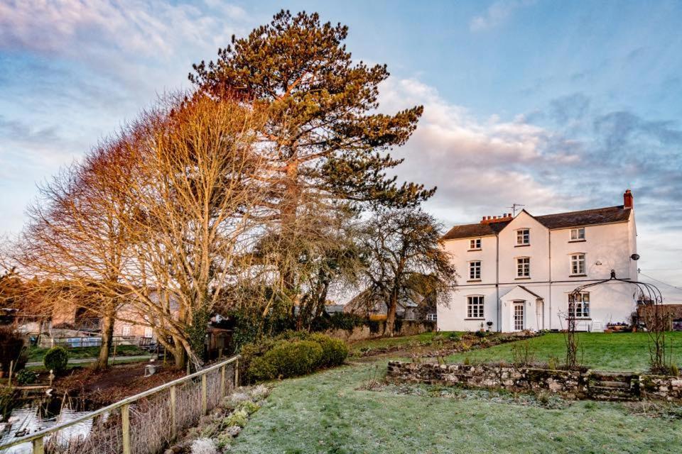 Art House B & B Raglan Eksteriør billede