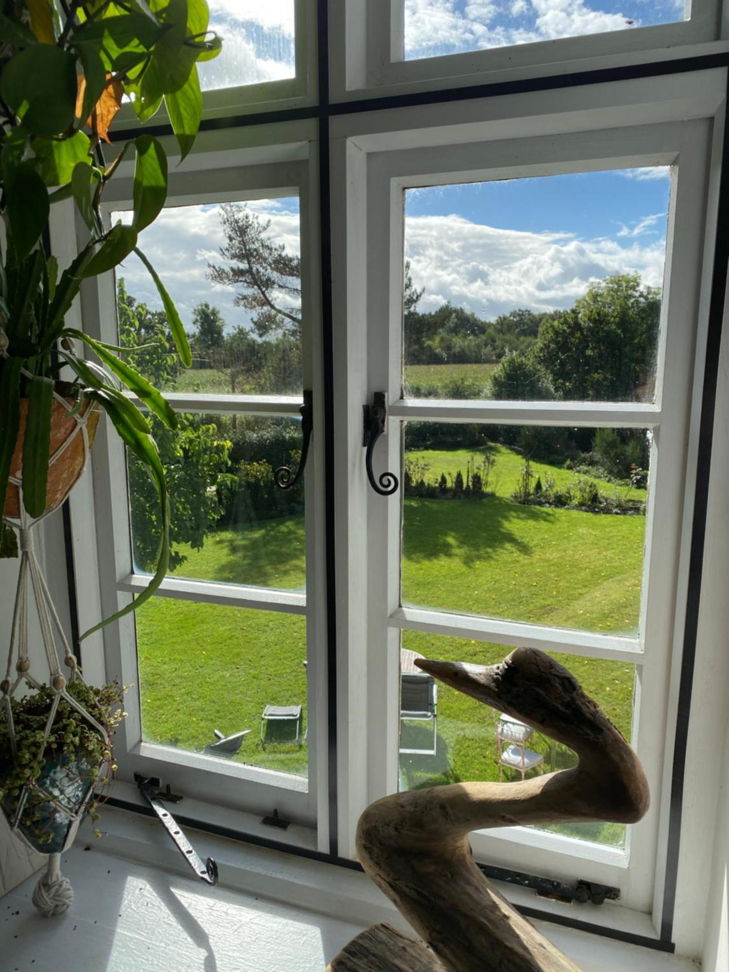 Art House B & B Raglan Værelse billede